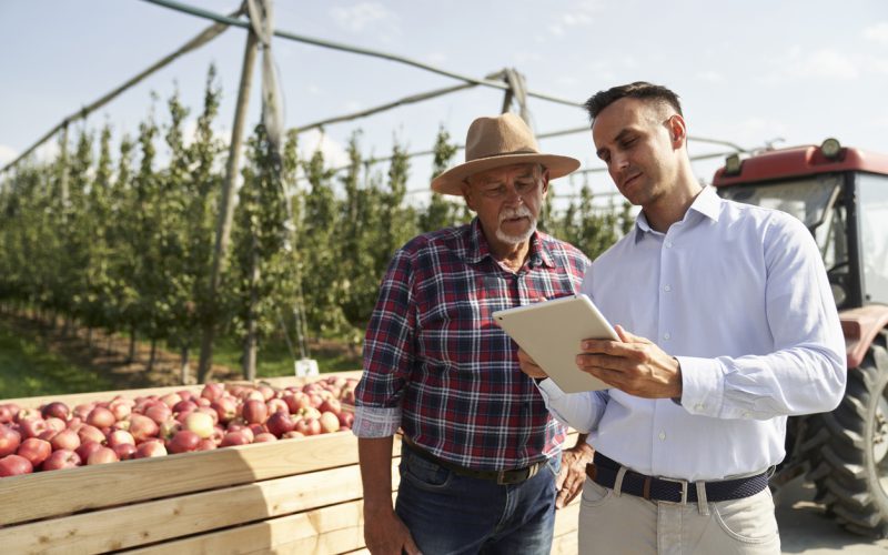 Senior farmer and sales representative talking over digital tablet on apple orchard